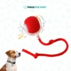 Electric Smart Automatic Rolling Pet Ball