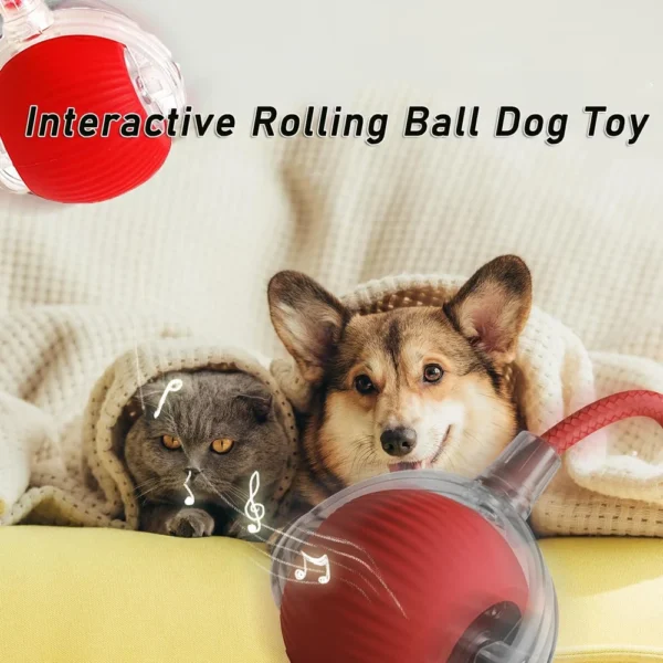 Electric Smart Automatic Rolling Pet Ball - Image 3